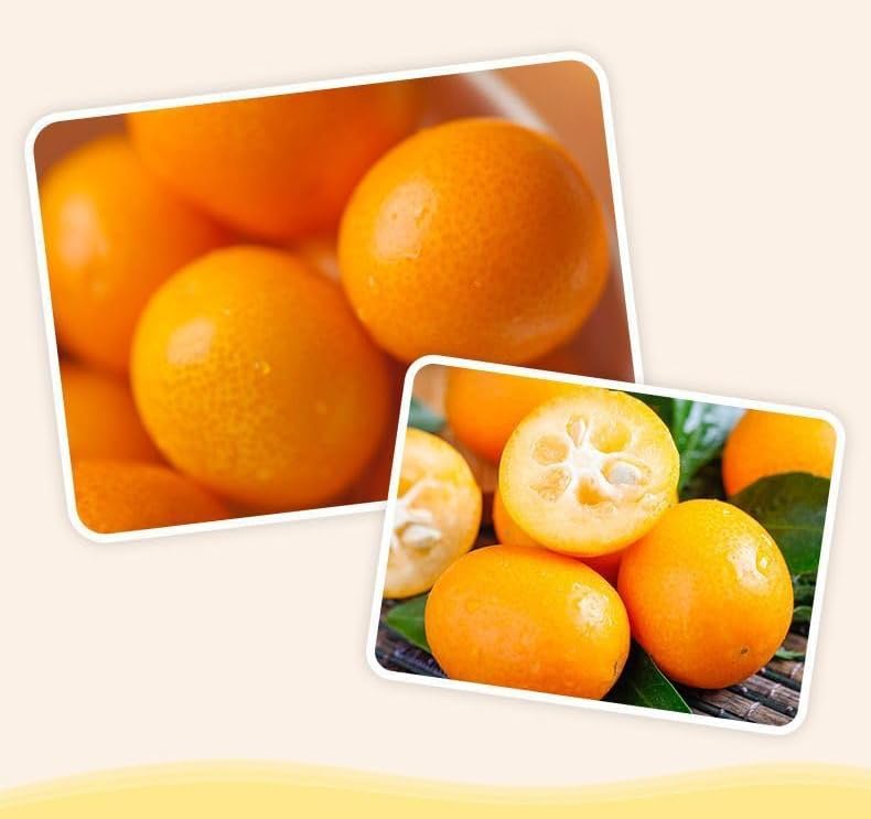 kumquat snacks